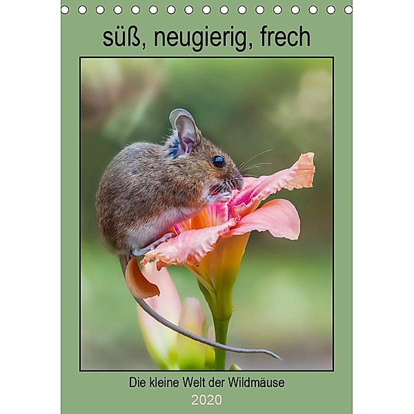 Die kleine Welt der Wildmäuse (Tischkalender 2020 DIN A5 hoch), Birgit Cerny