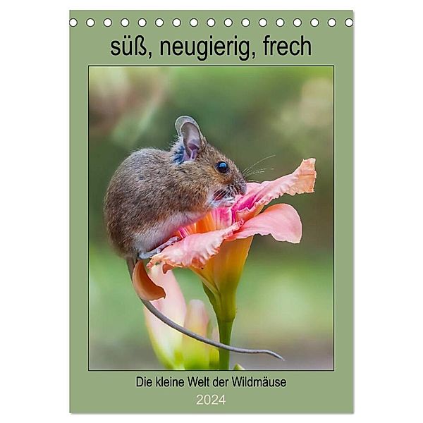 Die kleine Welt der Wildmäuse (Tischkalender 2024 DIN A5 hoch), CALVENDO Monatskalender, Birgit Cerny