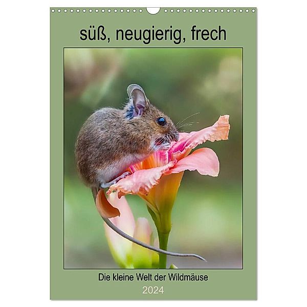 Die kleine Welt der Wildmäuse (Wandkalender 2024 DIN A3 hoch), CALVENDO Monatskalender, Birgit Cerny