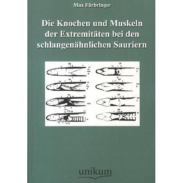 Die Knochen und Muskeln der Extremitäten bei den schlangenähnlichen Sauriern, Max Fürbringer