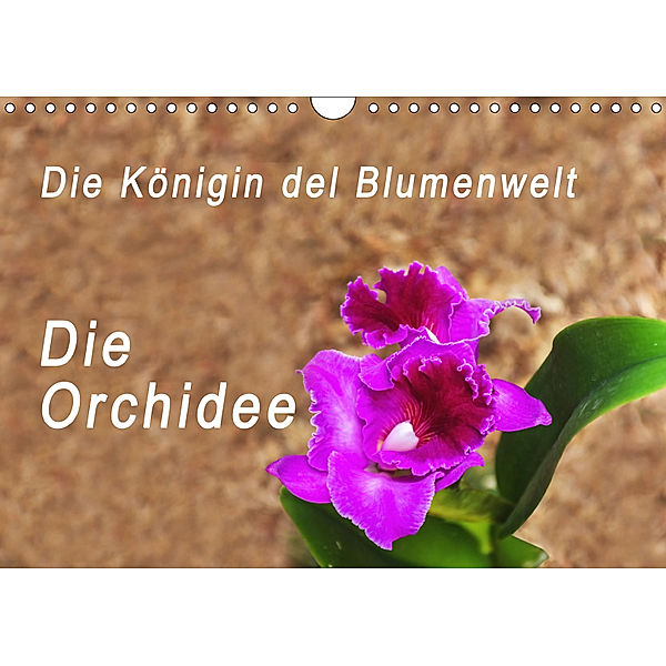 Die Königin der Blumenwelt, die Orchidee (Wandkalender 2019 DIN A4 quer), Peter Rosenthal