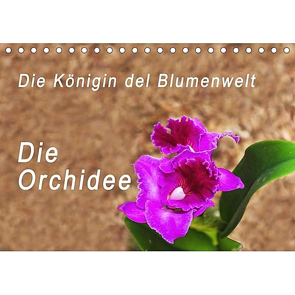 Die Königin der Blumenwelt, die Orchidee (Tischkalender 2021 DIN A5 quer), Peter Rosenthal