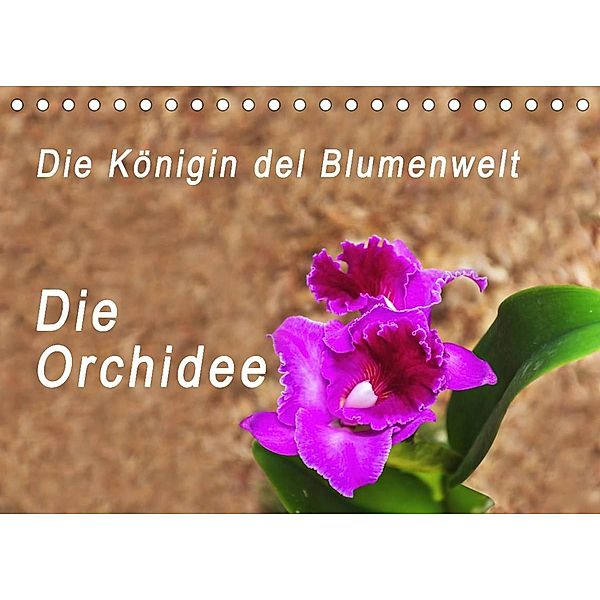 Die Königin der Blumenwelt, die Orchidee (Tischkalender 2023 DIN A5 quer), Peter Rosenthal