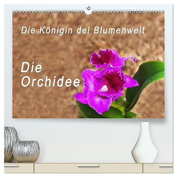 Die Königin der Blumenwelt, die Orchidee (hochwertiger Premium Wandkalender 2025 DIN A2 quer), Kunstdruck in Hochglanz, Calvendo, Peter Rosenthal