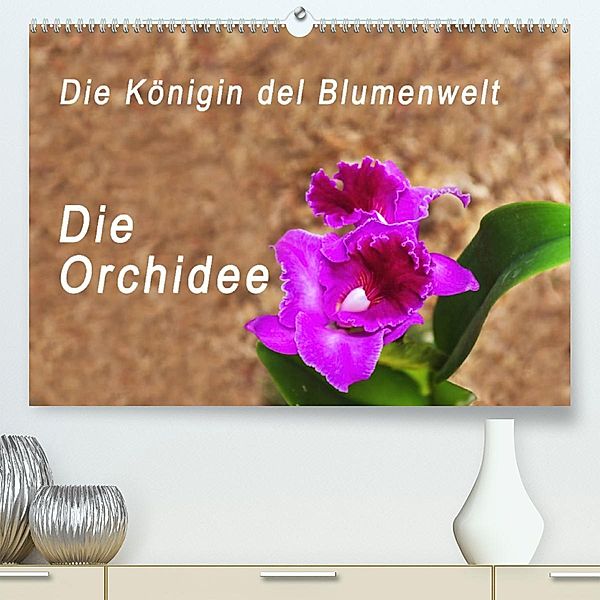 Die Königin der Blumenwelt, die Orchidee (Premium, hochwertiger DIN A2 Wandkalender 2023, Kunstdruck in Hochglanz), Peter Rosenthal