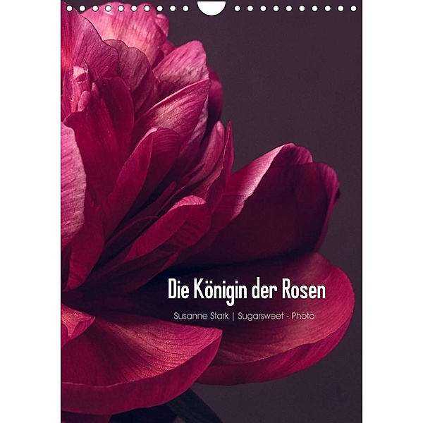 Die Königin der Rosen (Wandkalender 2023 DIN A4 hoch), Susanne Stark  Sugarsweet - Photo