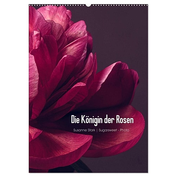 Die Königin der Rosen (Wandkalender 2024 DIN A2 hoch), CALVENDO Monatskalender, Susanne Stark Sugarsweet - Photo
