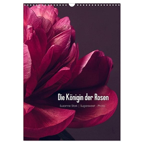 Die Königin der Rosen (Wandkalender 2024 DIN A3 hoch), CALVENDO Monatskalender, Susanne Stark Sugarsweet - Photo