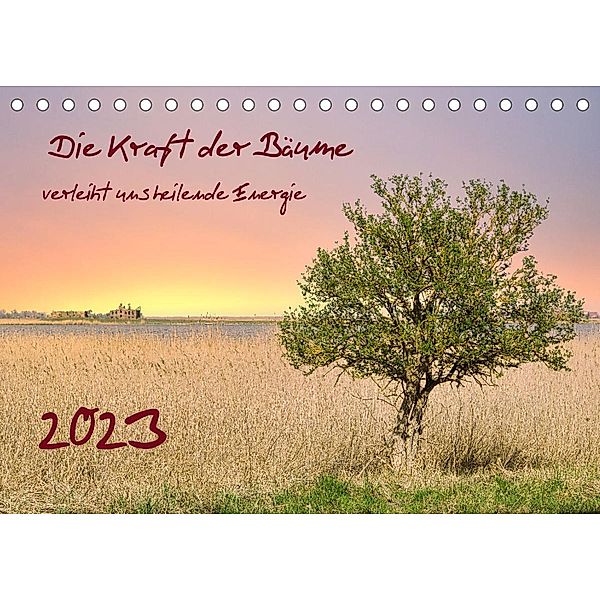 Die Kraft der Bäume (Tischkalender 2023 DIN A5 quer), Solveig Rogalski