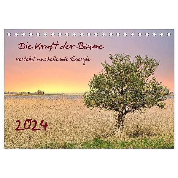 Die Kraft der Bäume (Tischkalender 2024 DIN A5 quer), CALVENDO Monatskalender, Solveig Rogalski