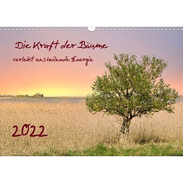 Die Kraft der Bäume (Wandkalender 2022 DIN A3 quer), Solveig Rogalski