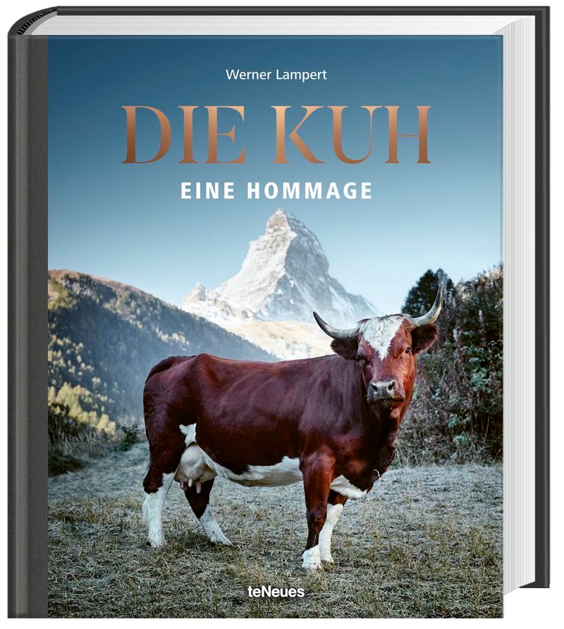 Die Kuh Buch von Werner Lampert versandkostenfrei bestellen - Weltbild.ch