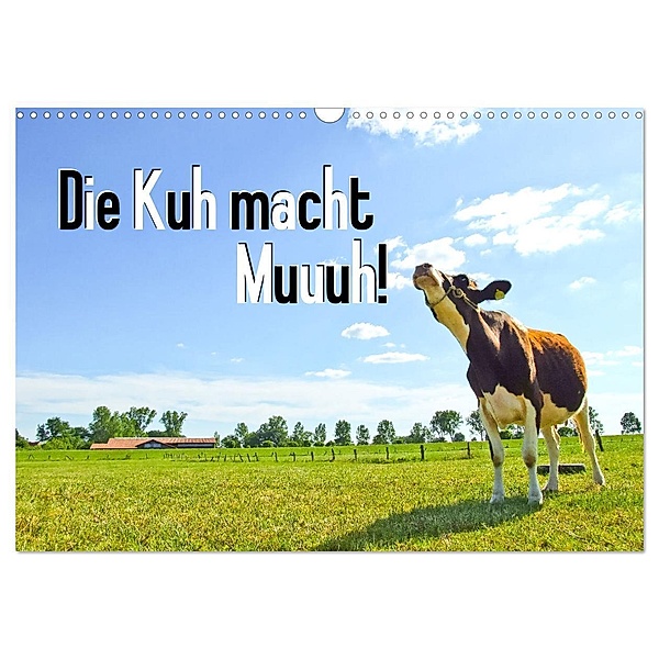 Die Kuh macht Muuuh! (Wandkalender 2024 DIN A3 quer), CALVENDO Monatskalender, Carola Vahldiek