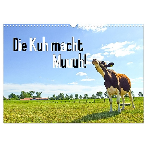 Die Kuh macht Muuuh! (Wandkalender 2025 DIN A3 quer), CALVENDO Monatskalender, Calvendo, Carola Vahldiek