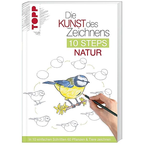 Die Kunst des Zeichnens 10 Steps - Natur, Mary Woodin