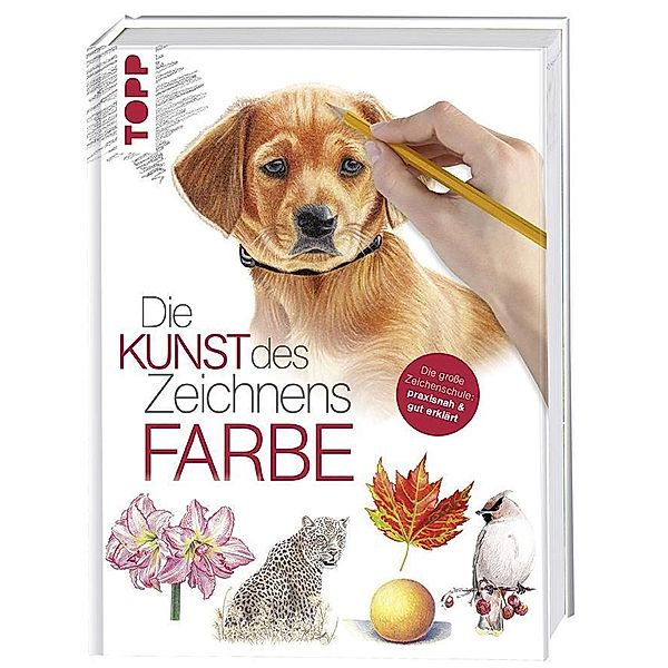 Die Kunst des Zeichnens - Farbe, frechverlag