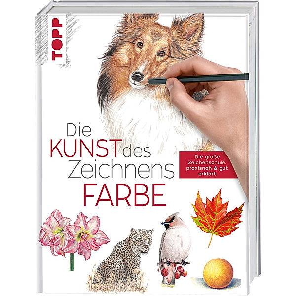 Die Kunst des Zeichnens - Farbe, frechverlag