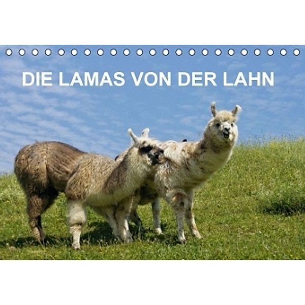 DIE LAMAS VON DER LAHN (Tischkalender 2016 DIN A5 quer), Jutta Albert