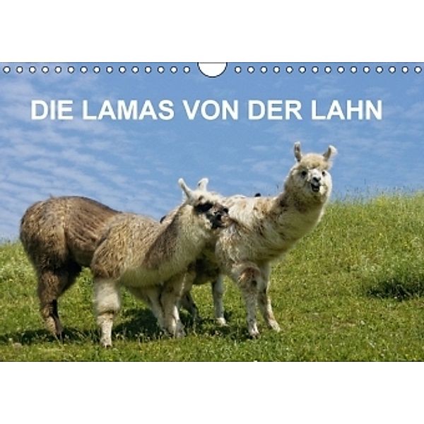 DIE LAMAS VON DER LAHN (Wandkalender 2016 DIN A4 quer), Jutta Albert