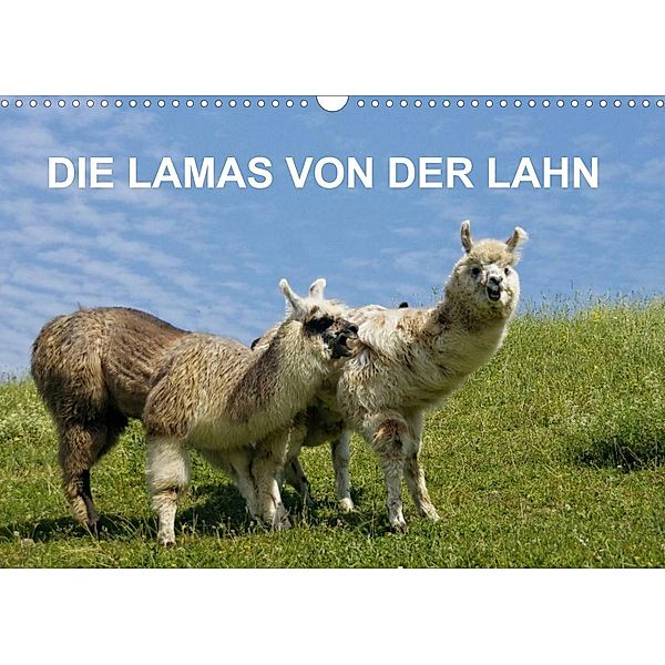 DIE LAMAS VON DER LAHN (Wandkalender 2023 DIN A3 quer), Jutta Albert