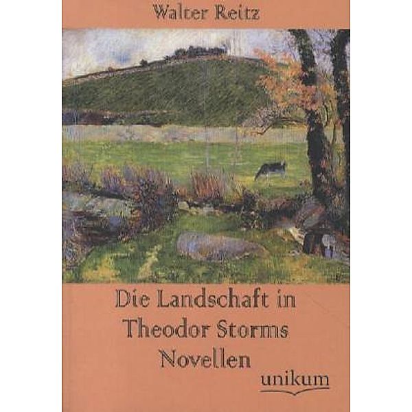 Die Landschaft in Theodor Storms Novellen, Walter Reitz