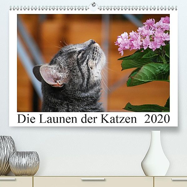 Die Launen der Katzen 2020 (Premium, hochwertiger DIN A2 Wandkalender 2020, Kunstdruck in Hochglanz), Anna Kropf