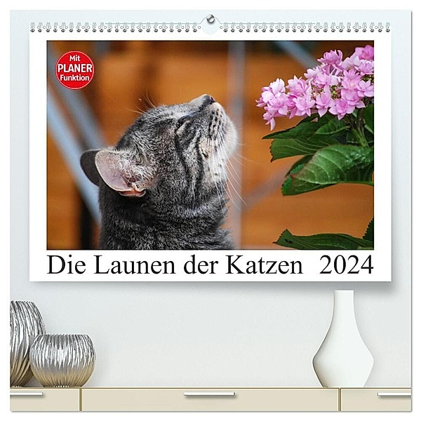 Die Launen der Katzen 2024 (hochwertiger Premium Wandkalender 2024 DIN A2 quer), Kunstdruck in Hochglanz, Anna Kropf