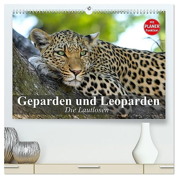 Die Lautlosen. Geparden und Leoparden (hochwertiger Premium Wandkalender 2024 DIN A2 quer), Kunstdruck in Hochglanz, Elisabeth Stanzer