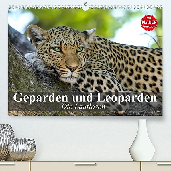 Die Lautlosen. Geparden und Leoparden (Premium, hochwertiger DIN A2 Wandkalender 2023, Kunstdruck in Hochglanz), Elisabeth Stanzer
