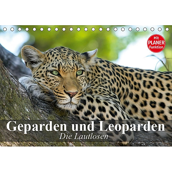 Die Lautlosen. Geparden und Leoparden (Tischkalender 2019 DIN A5 quer), Elisabeth Stanzer