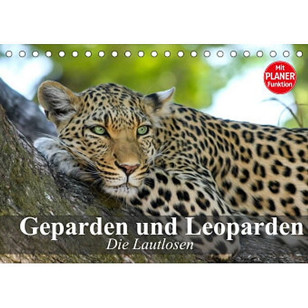 Die Lautlosen. Geparden und Leoparden (Tischkalender 2022 DIN A5 quer), Elisabeth Stanzer