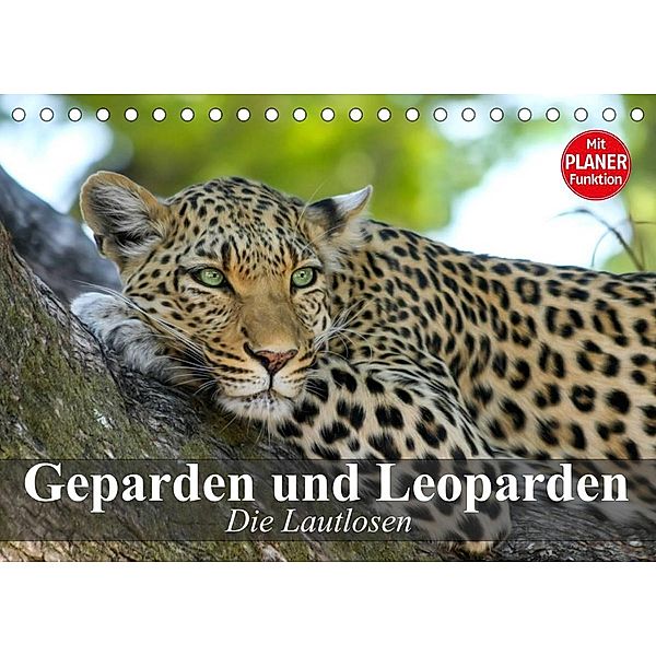 Die Lautlosen. Geparden und Leoparden (Tischkalender 2023 DIN A5 quer), Elisabeth Stanzer