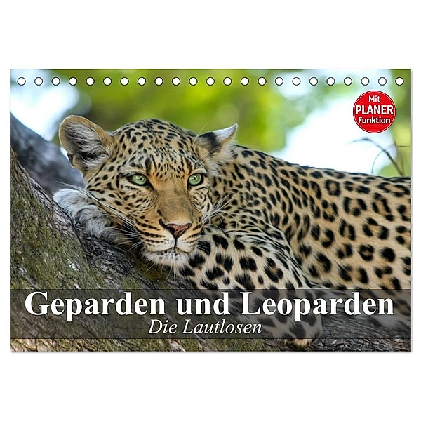 Die Lautlosen. Geparden und Leoparden (Tischkalender 2024 DIN A5 quer), CALVENDO Monatskalender, Elisabeth Stanzer