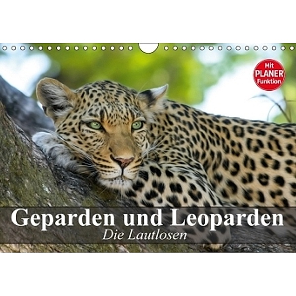 Die Lautlosen. Geparden und Leoparden (Wandkalender 2017 DIN A4 quer), Elisabeth Stanzer