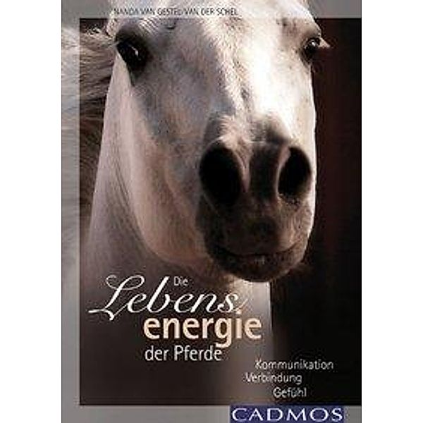 Die Lebensenergie der Pferde, Nanda van Gestel-van der Schel