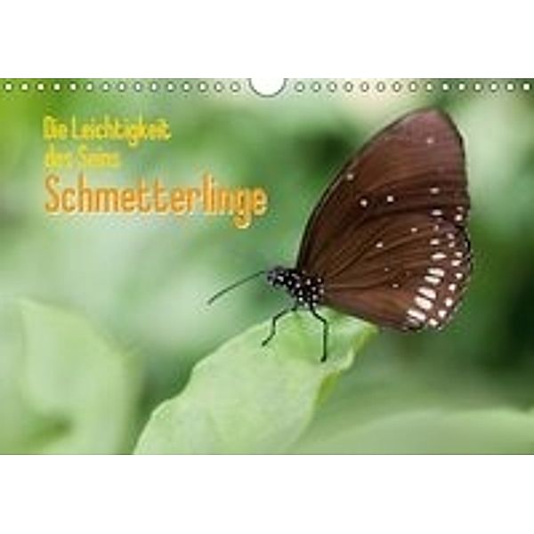 Die Leichtigkeit des Seins - Schmetterlinge (Wandkalender 2016 DIN A4 quer), Calvendo