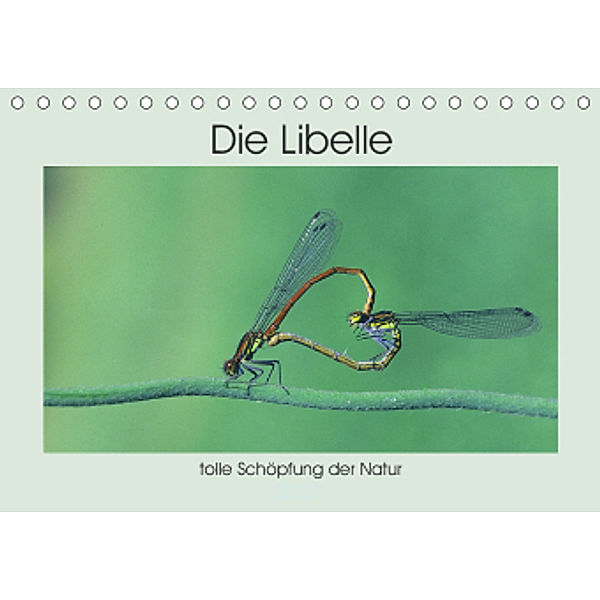 Die Libelle - tolle Schöpfung der Natur (Tischkalender 2021 DIN A5 quer), Rufotos