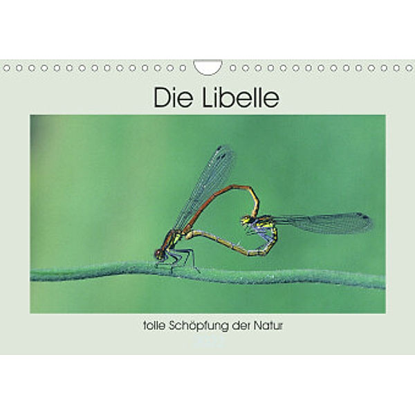Die Libelle - tolle Schöpfung der Natur (Wandkalender 2022 DIN A4 quer), Rufotos