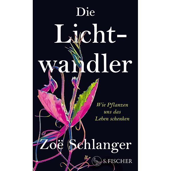 Die Lichtwandler, Zoë Schlanger