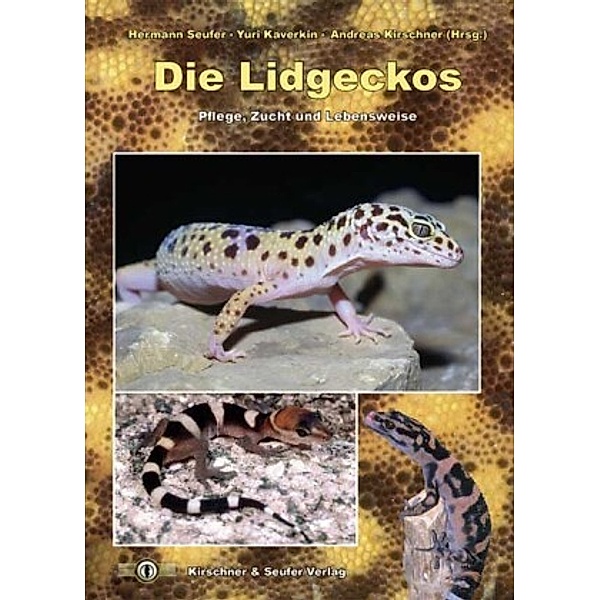 Die Lidgeckos, Tino Holfert, Jon Boone, Hermann Seufer