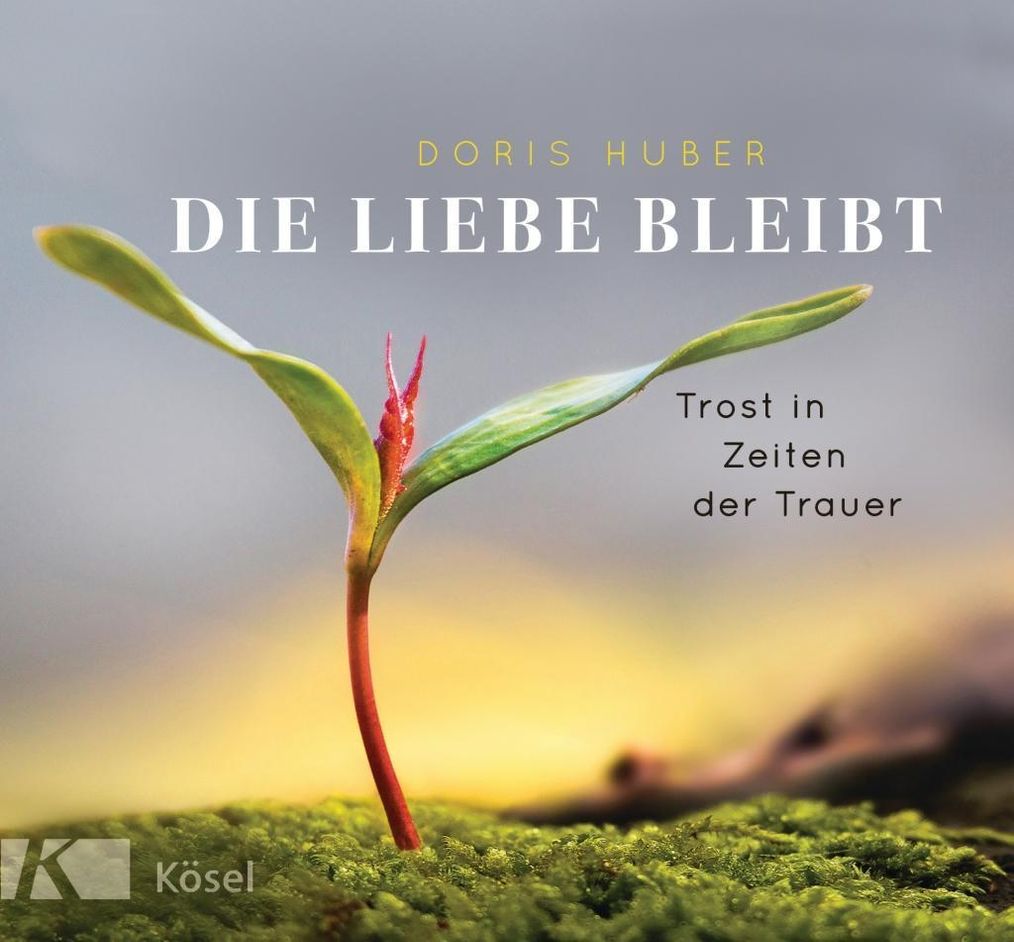 Die Liebe bleibt Buch von Doris Huber bei Weltbild.ch bestellen