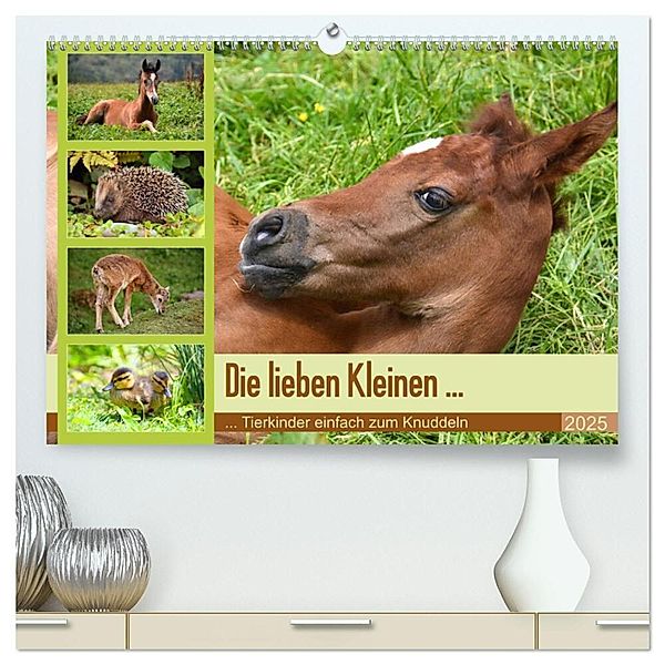 Die lieben Kleinen ... Tierkinder einfach zum Knuddeln (hochwertiger Premium Wandkalender 2025 DIN A2 quer), Kunstdruck in Hochglanz, Calvendo, Gugigei
