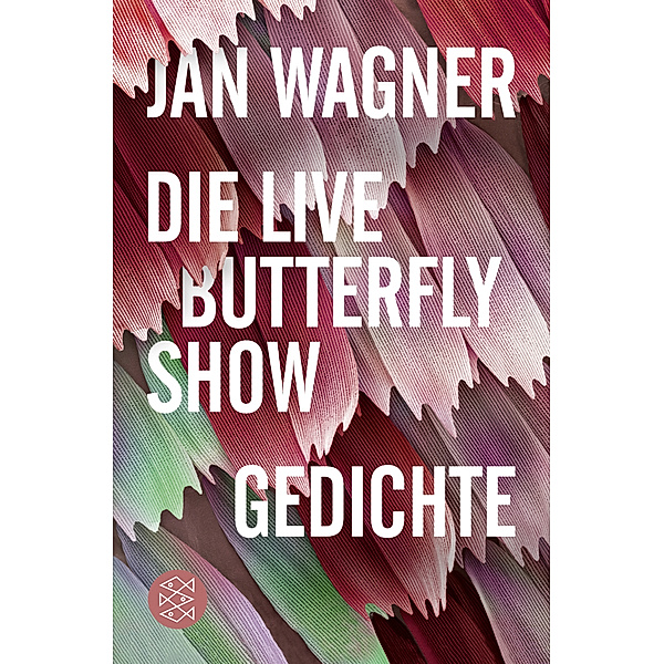 Die Live Butterfly Show, Jan Wagner