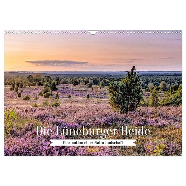 Die Lüneburger Heide - Faszination einer Naturlandschaft (Wandkalender 2025 DIN A3 quer), CALVENDO Monatskalender, Calvendo, AkremaFotoArt