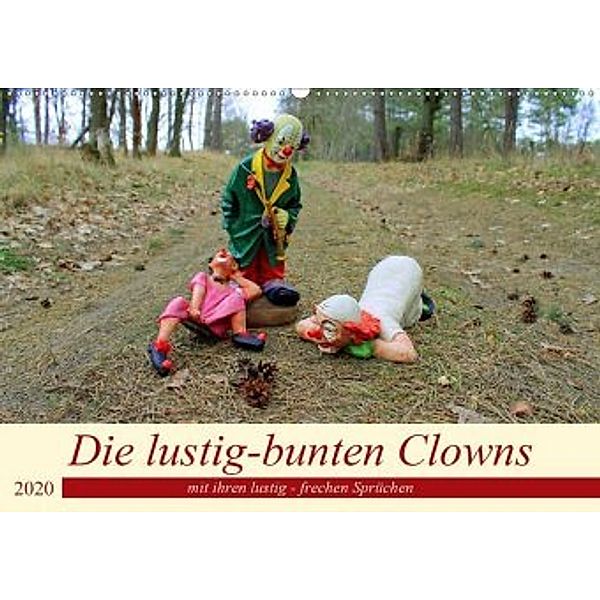 Die lustig-bunten Clowns (Wandkalender 2020 DIN A2 quer), Konstanze Junghanns