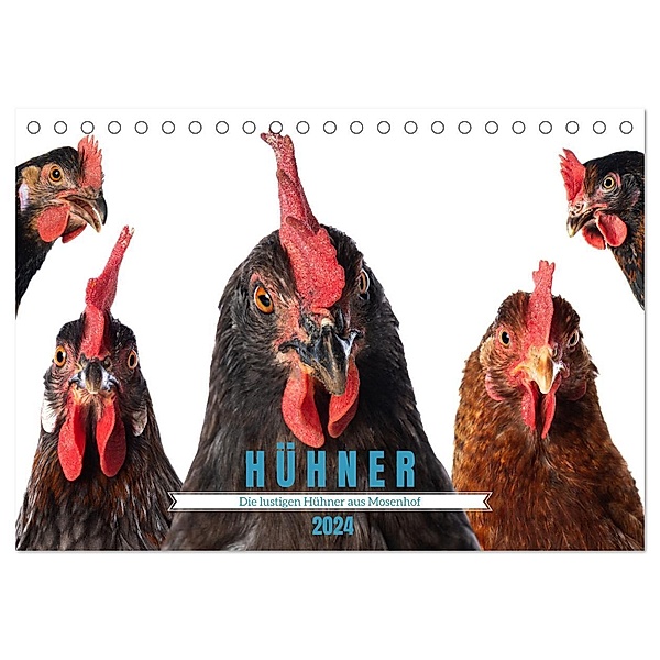 Die lustigen Hühner aus Mosenhof (Tischkalender 2024 DIN A5 quer), CALVENDO Monatskalender, Judith Kiener (DoraZett)