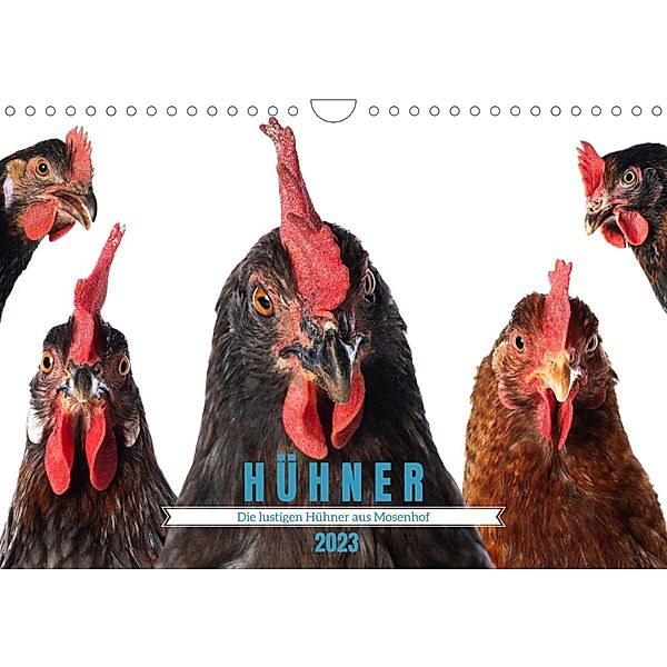 Die lustigen Hühner aus Mosenhof (Wandkalender 2023 DIN A4 quer), Judith Kiener (DoraZett)