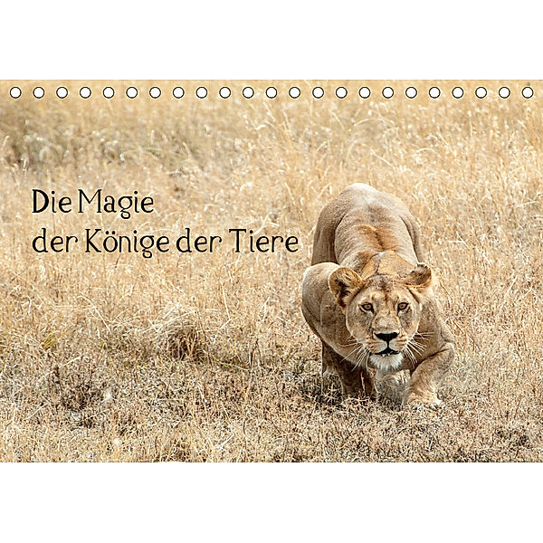 Die Magie der Könige der Tiere (Tischkalender 2019 DIN A5 quer), Rolf Skrypzak