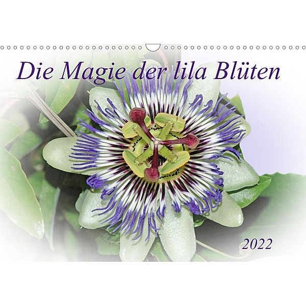 Die Magie der lila Blüten (Wandkalender 2022 DIN A3 quer), Claudia Kleemann