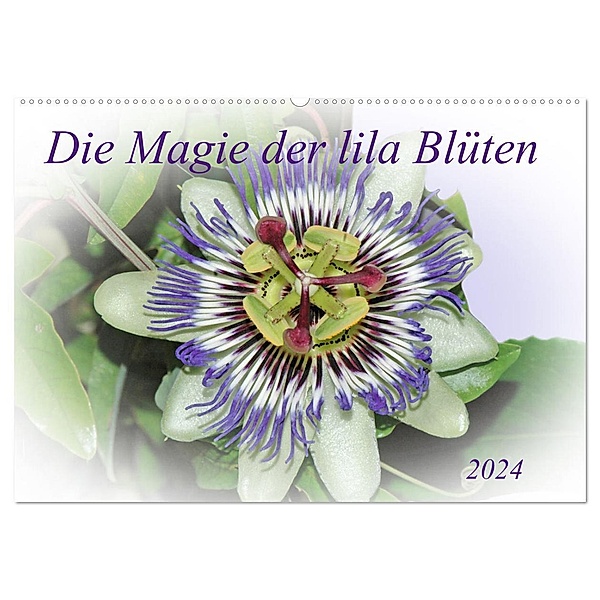 Die Magie der lila Blüten (Wandkalender 2024 DIN A2 quer), CALVENDO Monatskalender, Claudia Kleemann